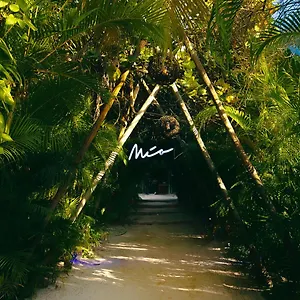 *** Hotel Mia Tulum Resort Mexico